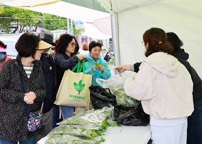 지난 10일 영양읍 시가지 일원에서 열린 '영양산나물 먹거리 한마당' 행사에서 관광객들이 산나물을 구매하고 있다. /영양군