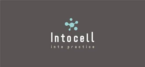 인투셀 CI.