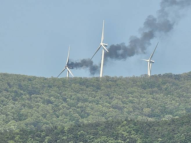 사진 제공 시청자