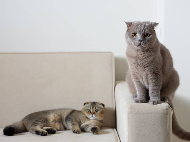 게티이미지뱅크.