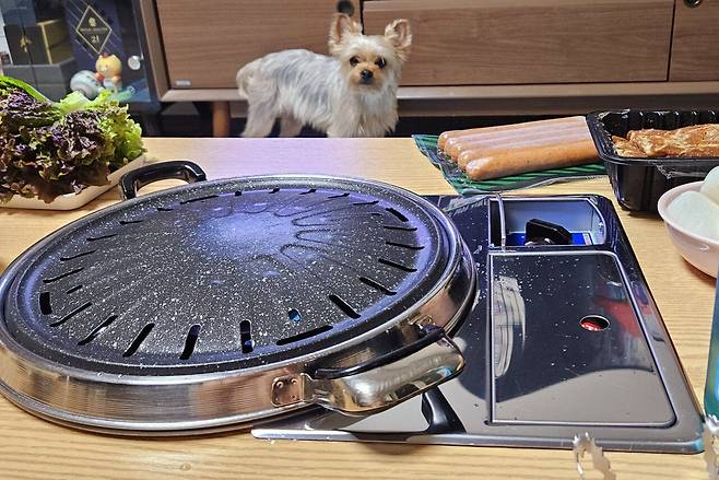 20250511_204151.jpg 저녁 양념소갈비와 소시지