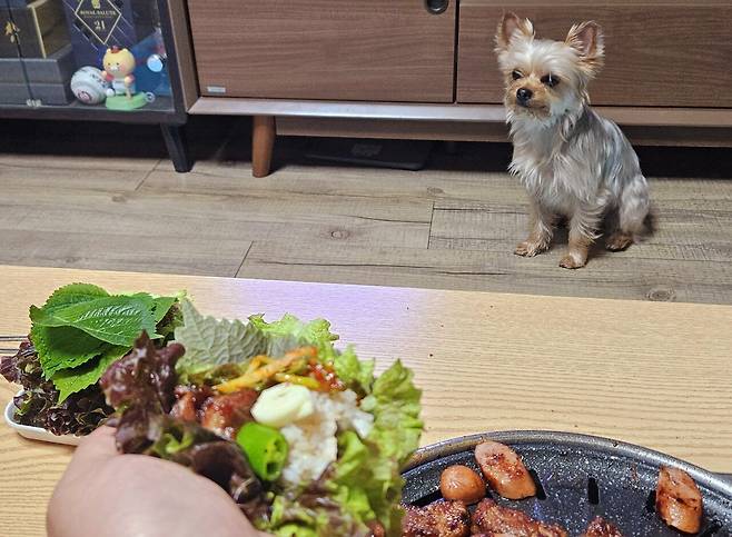 20250511_211242.jpg 저녁 양념소갈비와 소시지