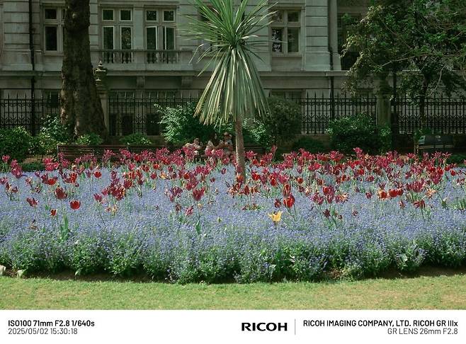 FE9A501C-C5CE-423D-89D9-A0265EE2D7F5_1_105_c.jpeg 5월의 런던