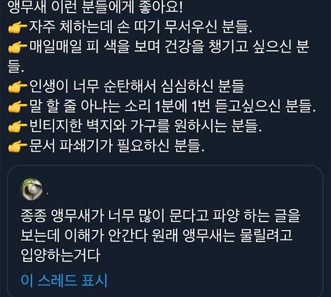 IMG_8712.jpeg 앵무새 키우는 사람들의 고충