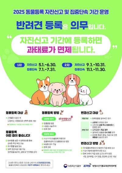 2025년 동물등록 자진신고 및 집중단속 기간 운영 홍보 포스터. 강북구 제공