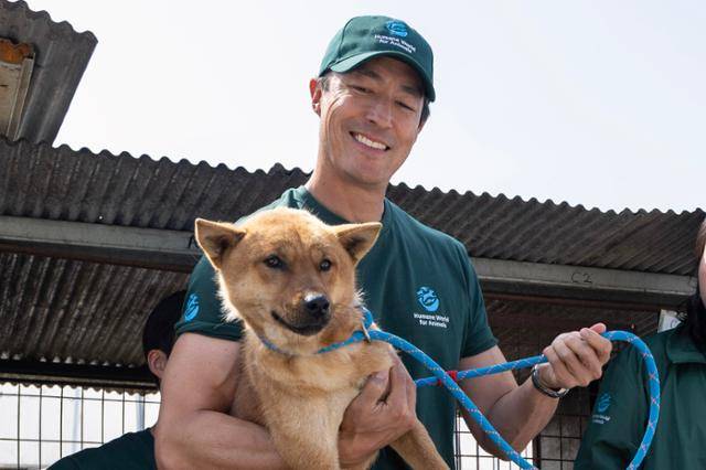 지난 8일 충북 청주시 흥덕구 개농장에서 배우 다니엘 헤니가 뜬장에서 구조된 개를 이동장에 넣기 위해 준비하고 있다. 구조된 개들 중 51마리는 먼저 미국으로 건너가 입양 가족을 찾게 된다. 청주=박시몬 기자