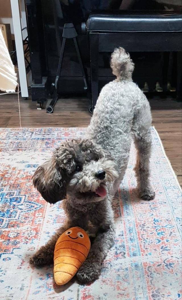 김소리 변호사 제공