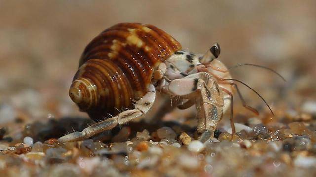 게티이미지뱅크