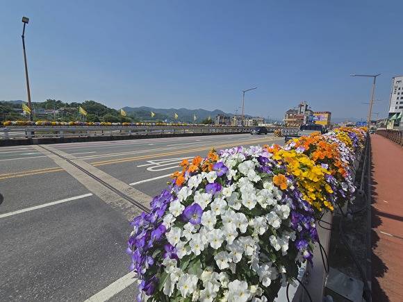 축제를 앞두고 봄꽃길로 조성완료된 성주읍 시가지 [사진=성주군]