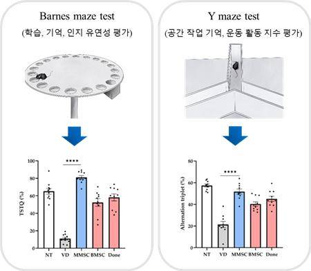 줄기세포 치료 후 인지기능 등을 알 수 있는 검사 결과표 (제주대학교 학내 바이오 벤처기업 미래셀바이오 제공)
