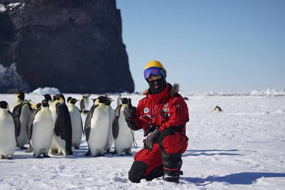 극지연구소 남극 장보고 과학기지에 육상 안전대원으로 2022년 12월부터 2024년 1월까지 1년여간 생활한 고양소방서 구급대원 김성한 소방장이 남극 펭귄들과 찍은 사진. 김성한 소방장 제공