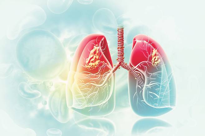 출처: GettyimagesBank