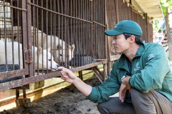 배우 다니엘 헤니가 지난 8일 충북 청주의 한 불법 도축농장에서 우리 안에 갇힌 개를 바라보고 있다. 사진 휴메인 월드 포 애니멀즈
