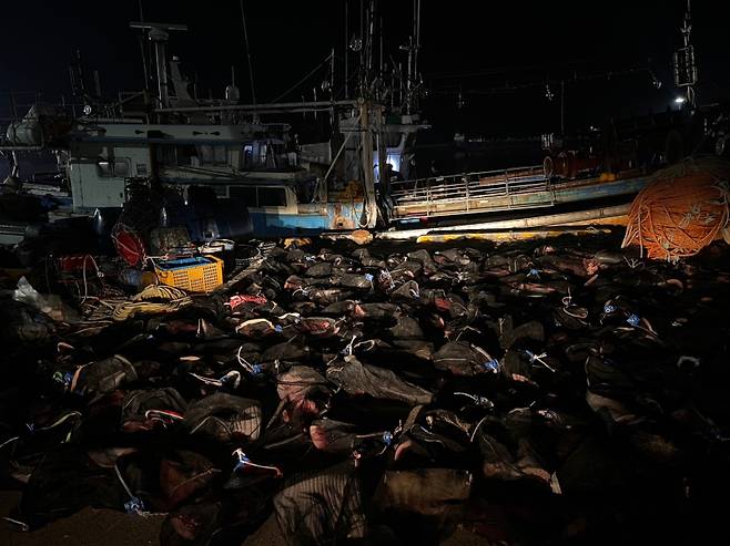 해경이 압수한 자루에 담긴 고래고기. 포항해경 제공