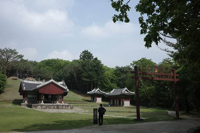 파주 삼릉 ‘영릉’. 이정아 기자.