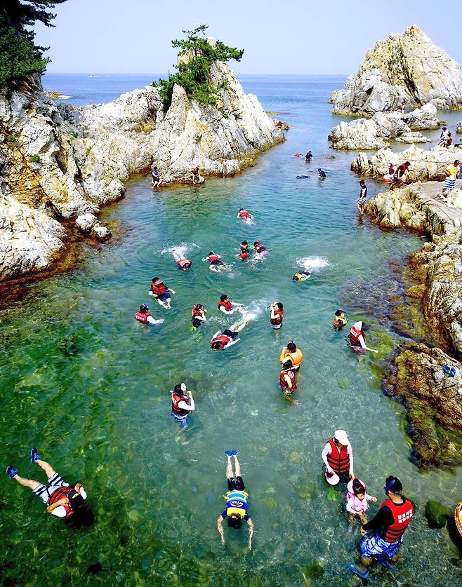 삼척 장호항[삼척시청 제공]