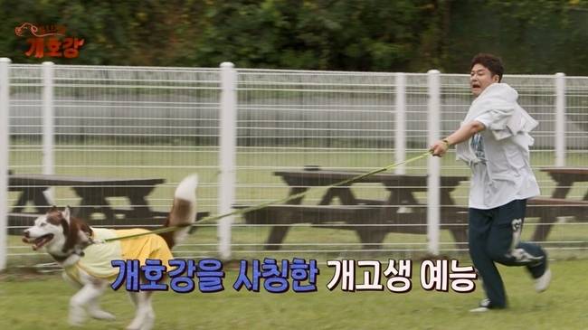 사진=JTBC ‘집 나가면 개호강’