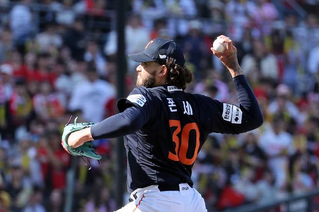 한화 폰세. 연합뉴스