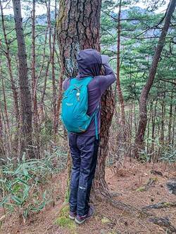 소나무와 잠시 교감 중이다.