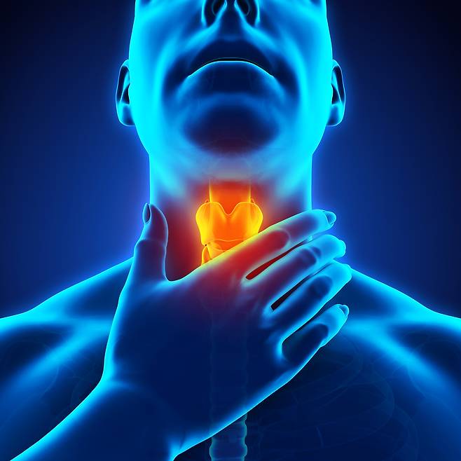 사진 = 게티이미지뱅크