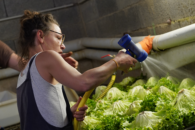 지난 4월 10일(현지시간) 프랑스 남부의 작은 마을 브렝에 있는 실험농장 ‘레소르 마레셰’에서 한 예비 농부가 수확한 채소를 세척하고 있다. 진정은씨 제공