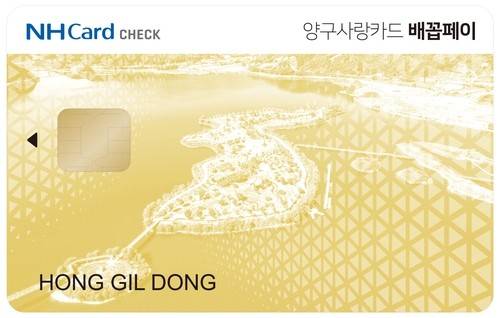 카드형 양구사랑상품권 '배꼽페이' [양구군 제공. 재판매 및 DB 금지]