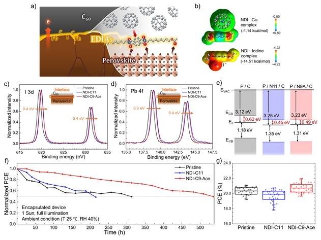 태양전지 효율 향상 기술 개발 [부산대 제공]