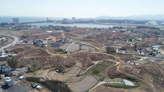 산불 발생 2년이 지난 강릉 경포 일대 [연합뉴스 자료사진]