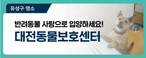 사진=대전광역시 블로그 갈무리.