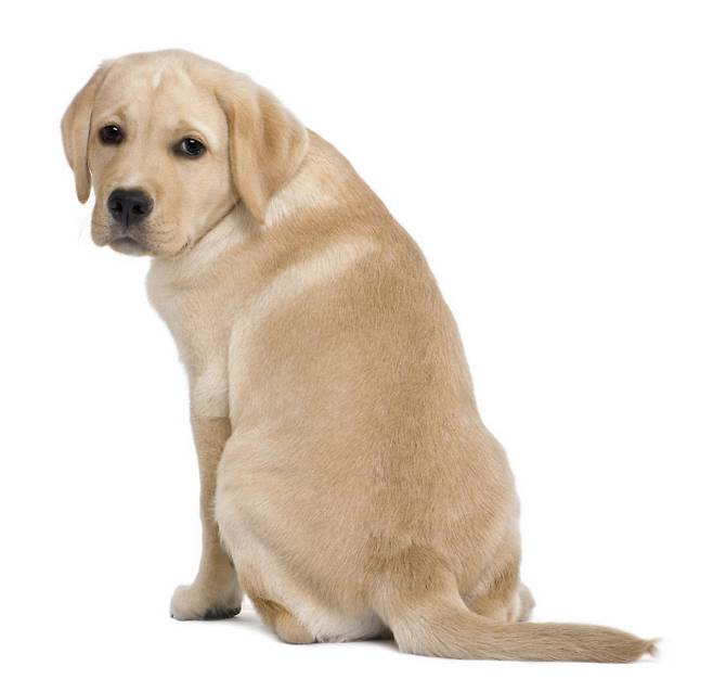 사진=게티이미지뱅크 제공. 사진은 기사와 관련 없음