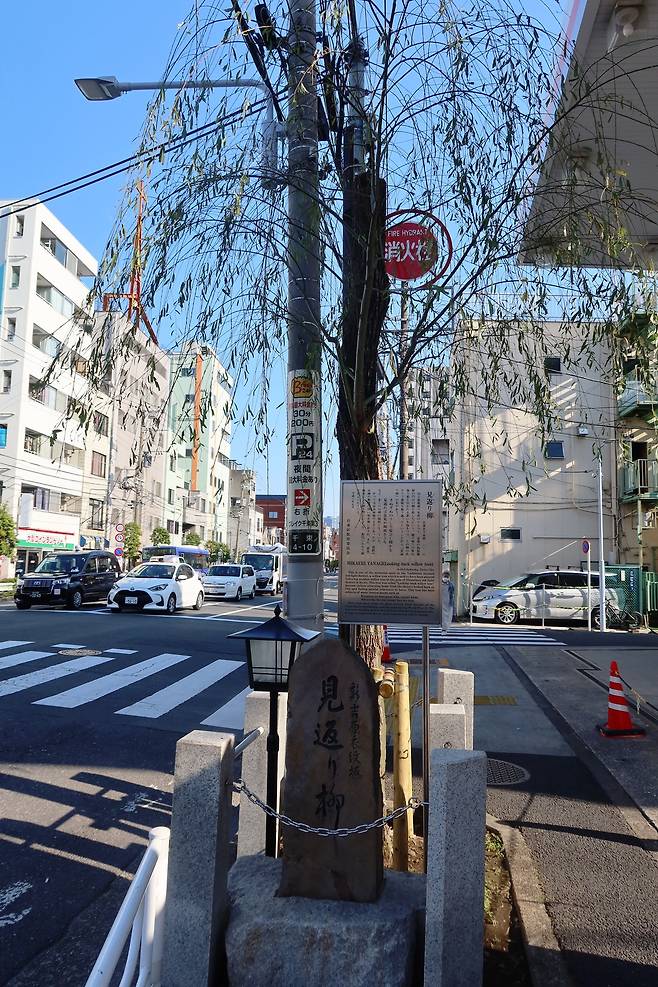 요시와라 입구, 돌아보면 유녀가 이별을 아쉬워하며 손 흔드는 것처럼 보인다는 마키에리야나기(見返り柳).