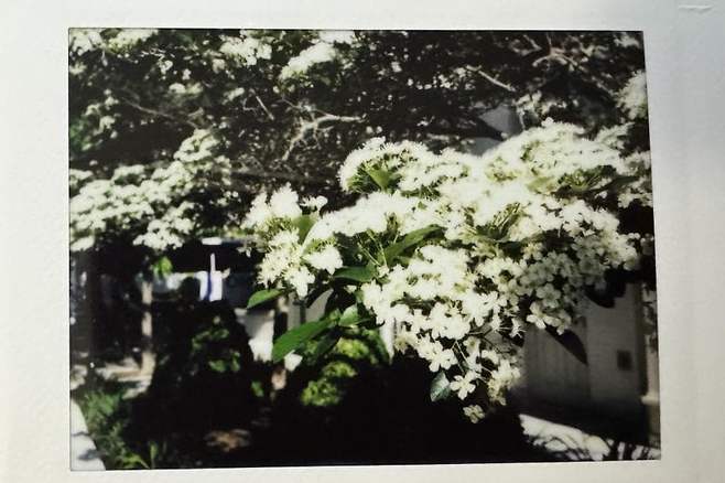 0490f719b2866af620b5c6b236ef203eeaa054269f829a51ab