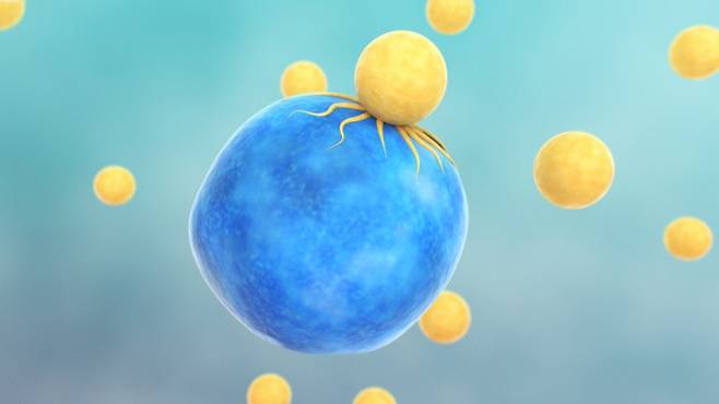 '기적의 항암제'라 불리는 카티(CAR-T) 항암제가 환자에게 건망증과 집중력 저하 현상을 일으킬 수 있다는 연구결과가 나왔다. 게티이미지뱅크 제공.