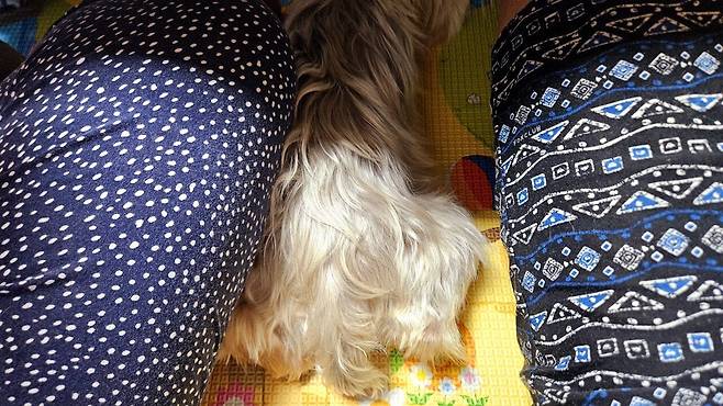 20250512_214845.jpg 저녁 병어찜에 한잔