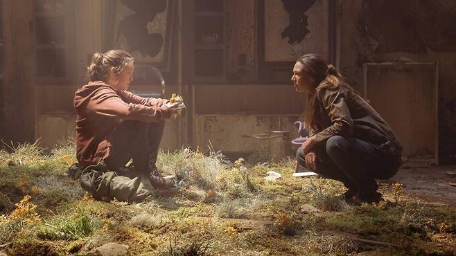 게임 원작 드라마 ‘라스트 오브 어스’는 돌연변이를 일으킨 동충하초가 인간에게 감염되며 인류가 좀비화 된 세상을 배경으로 하고 있다. 누리집 갈무리