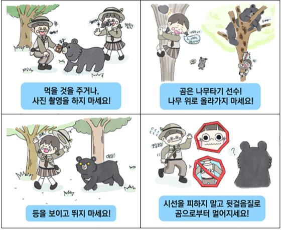탐방 수칙 반달가슴곰과 마주쳤을 때 대처방법. 국립공원공단