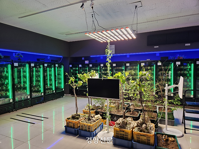 대전 도심 빈 건물에 조성된 스마트팜 안에 저온성 버섯재배시스템 등이 설치돼 있다.  이종섭 기자