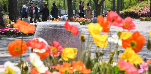 자료사진. 경기일보DB