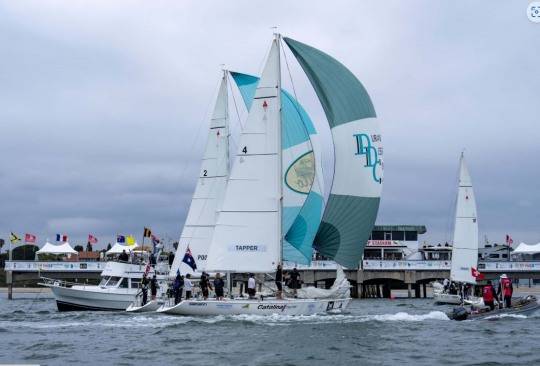 지난 4일 미국 롱비치에서 열린 제60회 콩그레셔널 컵 대회 모습. [월드 세일링 홈페이지 캡처]