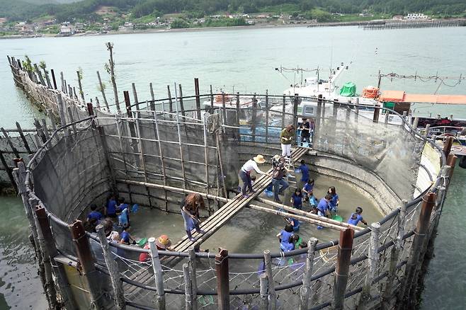 남해 죽방렴 어업  남해군
