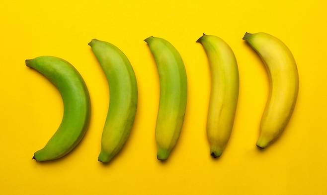 바나나. 게티이미지뱅크