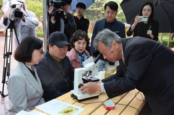 홍순길(오른쪽) 전 성북강북교육지원청 교육장이 지난 9일 서울 관악구 서울시교육청 융합과학교육원에서 1975년 강남초등학교 4학년 2반 스승과 제자로 인연을 맺은 제자들을 50년 만에 만나 현미경으로 물벼룩을 관찰하는 생태 수업을 하고 있다. 연합뉴스