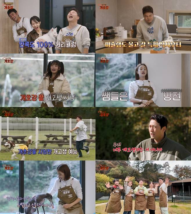 JTBC ‘집 나가면 개호강’
