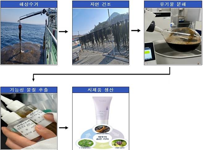 원료 추출 및 제품 생산 과정 [제주도 제공. 재판매 및 DB 금지]