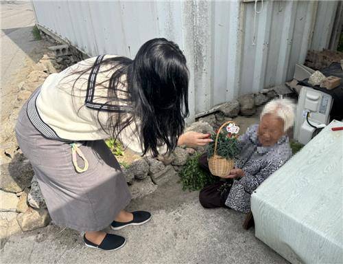 동해시, 1인 가구에 반려식물 전달  [동해시 제공. 재판매 및 DB 금지]