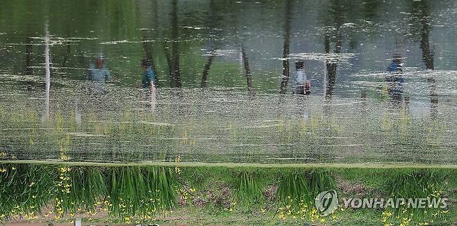 밀양 위양지 (밀양=연합뉴스) 김동민 기자 = 13일 오후 경남 밀양시 부북면 위양지(위양못)에 시민 모습이 투영돼 보인다. 2025.5.13 image@yna.co.kr