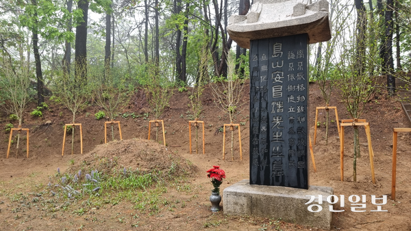 도산 안창호의 허묘와 춘원 이광수가 짓고 원곡 김기승이 쓴 비석. 도산 묘 주위에 무궁화는 최근에 식재한 것으로 보인다. 2025.5.1 구리/권순정기자 sj@kyeongin.com