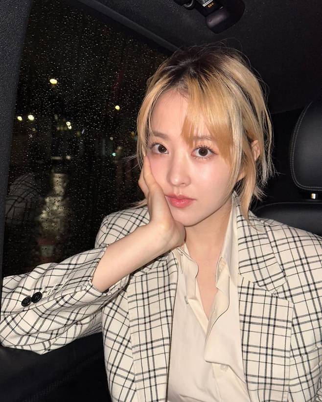 박보영