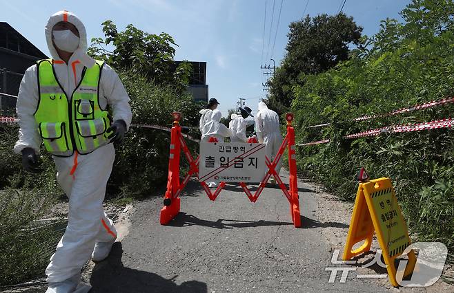 지난해 8월 31일 경기도 김포시 한 양돈농가에 아프리카돼지열병(ASF)이 발병해 방역 관계자들이 출입을 통제하고 방역작업을 하고 있다. /뉴스1 ⓒ News1 박세연 기자