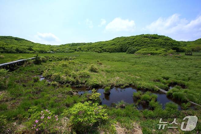 대암산 용늪(인제군 제공. 재판매 및 DB금지)/뉴스1